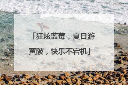 狂炫蓝莓，夏日游黄陂，快乐不宕机