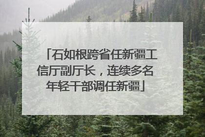 石如根跨省任新疆工信厅副厅长，连续多名年轻干部调任新疆