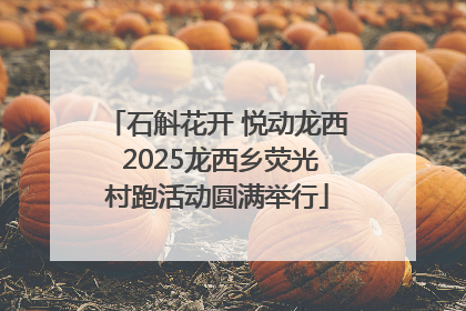 石斛花开 悦动龙西 2025龙西乡荧光村跑活动圆满举行