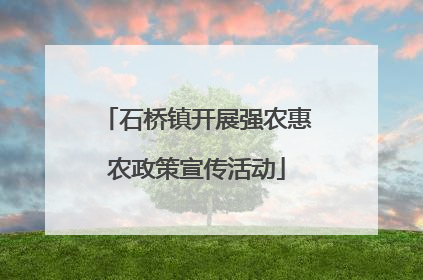 石桥镇开展强农惠农政策宣传活动