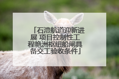 石澧航道迎新进展 项目控制性工程艳洲枢纽船闸具备交工验收条件