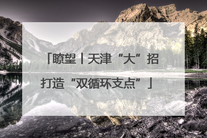 瞭望丨天津“大”招打造“双循环支点”