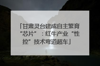甘肃灵台建成自主繁育“芯片”：红牛产业“性控”技术弯道超车