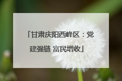 甘肃庆阳西峰区：党建强链 富民增收