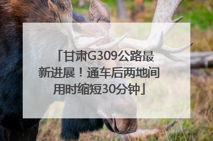 甘肃G309公路最新进展！通车后两地间用时缩短30分钟