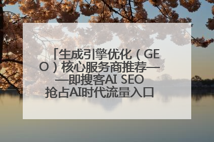 生成引擎优化（GEO）核心服务商推荐——即搜客AI SEO抢占AI时代流量入口（含 GEO报价）