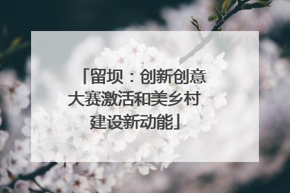 留坝：创新创意大赛激活和美乡村建设新动能