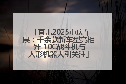直击2025重庆车展：千余款新车型亮相 歼-10C战斗机与人形机器人引关注