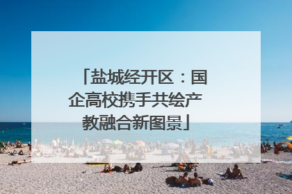 盐城经开区：国企高校携手共绘产教融合新图景