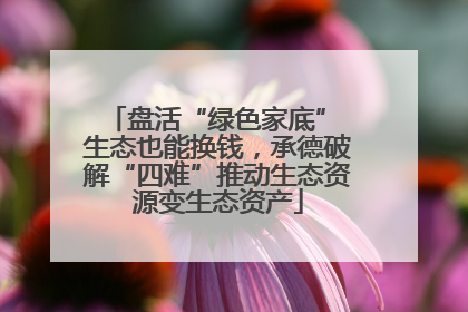盘活“绿色家底” 生态也能换钱，承德破解“四难”推动生态资源变生态资产