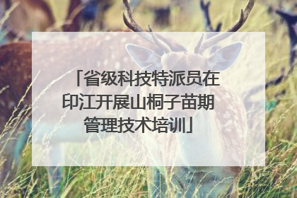省级科技特派员在印江开展山桐子苗期管理技术培训