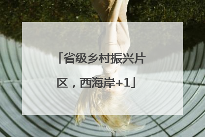 省级乡村振兴片区，西海岸+1