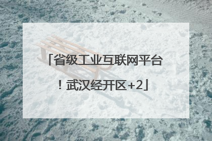 省级工业互联网平台！武汉经开区+2