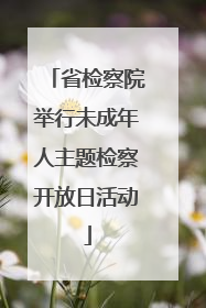 省检察院举行未成年人主题检察开放日活动
