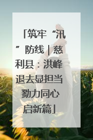 筑牢“汛”防线｜慈利县：洪峰退去显担当 勠力同心启新篇