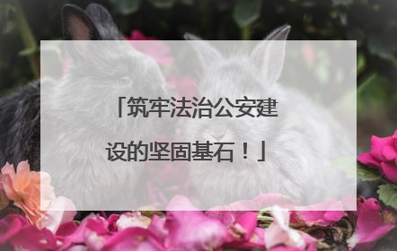 筑牢法治公安建设的坚固基石！