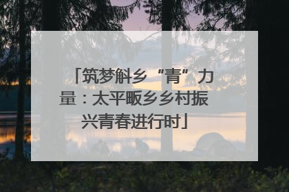 筑梦斛乡“青”力量：太平畈乡乡村振兴青春进行时