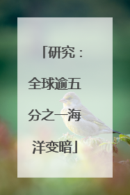研究：全球逾五分之一海洋变暗
