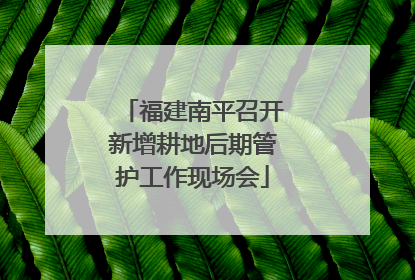 福建南平召开新增耕地后期管护工作现场会