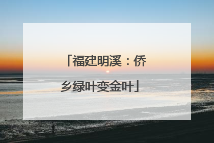 福建明溪：侨乡绿叶变金叶