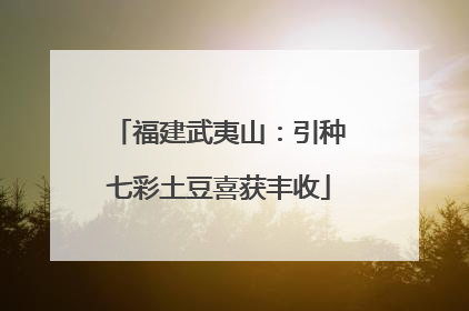 福建武夷山：引种七彩土豆喜获丰收