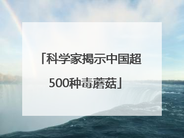 科学家揭示中国超500种毒蘑菇