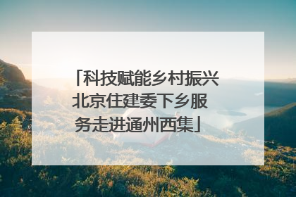 科技赋能乡村振兴 北京住建委下乡服务走进通州西集