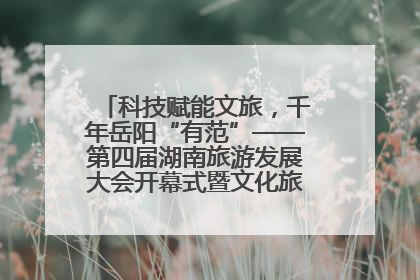 科技赋能文旅，千年岳阳“有范”——第四届湖南旅游发展大会开幕式暨文化旅游推介会侧记