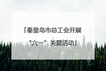 秦皇岛市总工会开展“六一”关爱活动