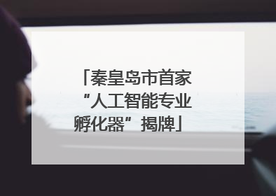 秦皇岛市首家“人工智能专业孵化器”揭牌