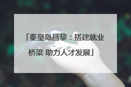 秦皇岛昌黎：搭建就业桥梁 助力人才发展