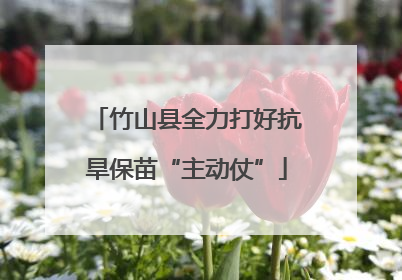 竹山县全力打好抗旱保苗“主动仗”