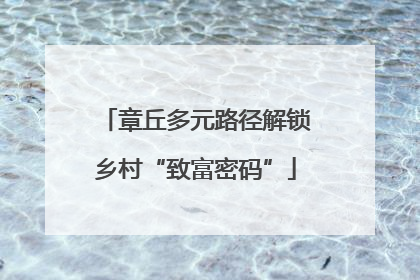 章丘多元路径解锁乡村“致富密码”