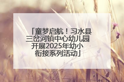童梦启航！习水县三岔河镇中心幼儿园开展2025年幼小衔接系列活动