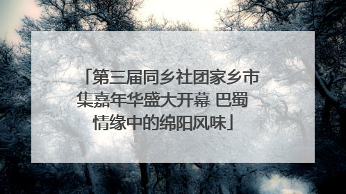 第三届同乡社团家乡市集嘉年华盛大开幕 巴蜀情缘中的绵阳风味
