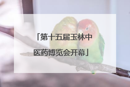 第十五届玉林中医药博览会开幕