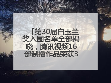 第30届白玉兰奖入围名单全部揭晓，腾讯视频16部制播作品荣获31项提名