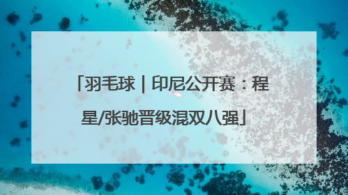 羽毛球｜印尼公开赛：程星/张驰晋级混双八强