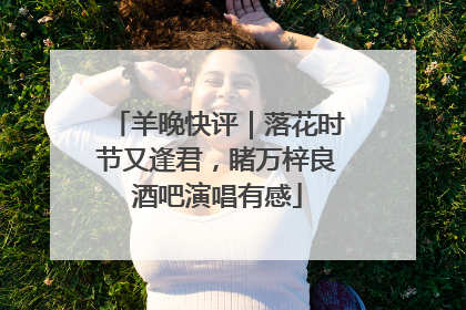 羊晚快评｜落花时节又逢君，睹万梓良酒吧演唱有感