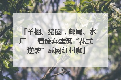 羊棚、猪圈，邮局、水厂……看废弃建筑“花式逆袭”成网红村咖
