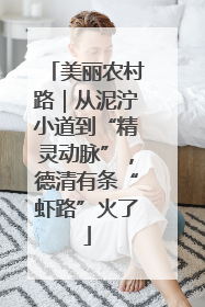 美丽农村路｜从泥泞小道到“精灵动脉”，德清有条“虾路”火了