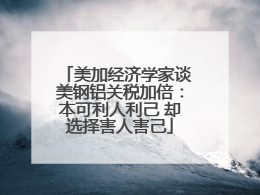 美加经济学家谈美钢铝关税加倍：本可利人利己 却选择害人害己