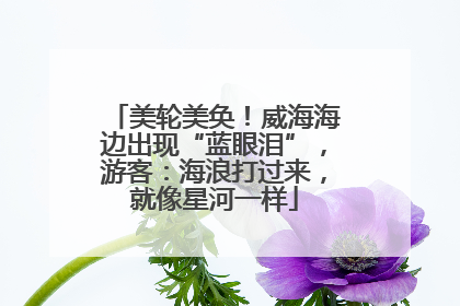 美轮美奂！威海海边出现“蓝眼泪”，游客：海浪打过来，就像星河一样