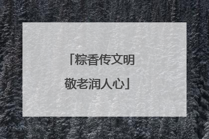粽香传文明 敬老润人心