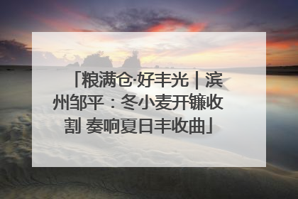 粮满仓·好丰光｜滨州邹平：冬小麦开镰收割 奏响夏日丰收曲