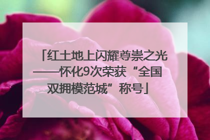 红土地上闪耀尊崇之光——怀化9次荣获“全国双拥模范城”称号