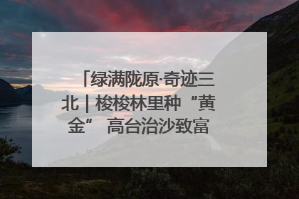 绿满陇原·奇迹三北｜梭梭林里种“黄金” 高台治沙致富很“从容”