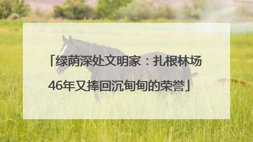 绿荫深处文明家：扎根林场46年又捧回沉甸甸的荣誉