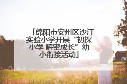 绵阳市安州区沙汀实验小学开展“初探小学 解密成长”幼小衔接活动