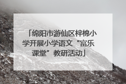 绵阳市游仙区梓棉小学开展小学语文“富乐课堂”教研活动